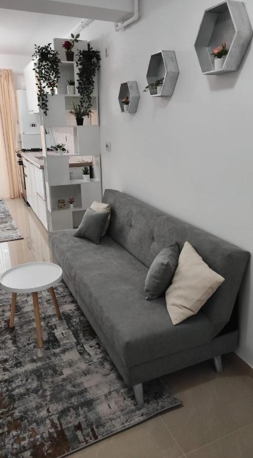 Ego Residence Apartment Kaloşvar Dış mekan fotoğraf